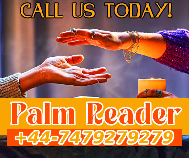 Palm Readre